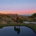 Si vous ressentez de la colère